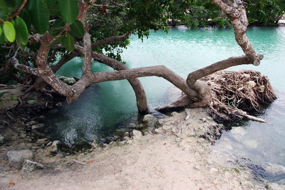 Casa Laguna Lagartos Rio Lagartos Bagian luar foto