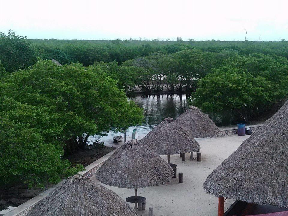 Casa Laguna Lagartos Rio Lagartos Bagian luar foto