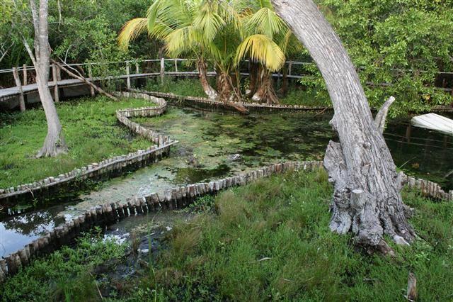 Casa Laguna Lagartos Rio Lagartos Bagian luar foto